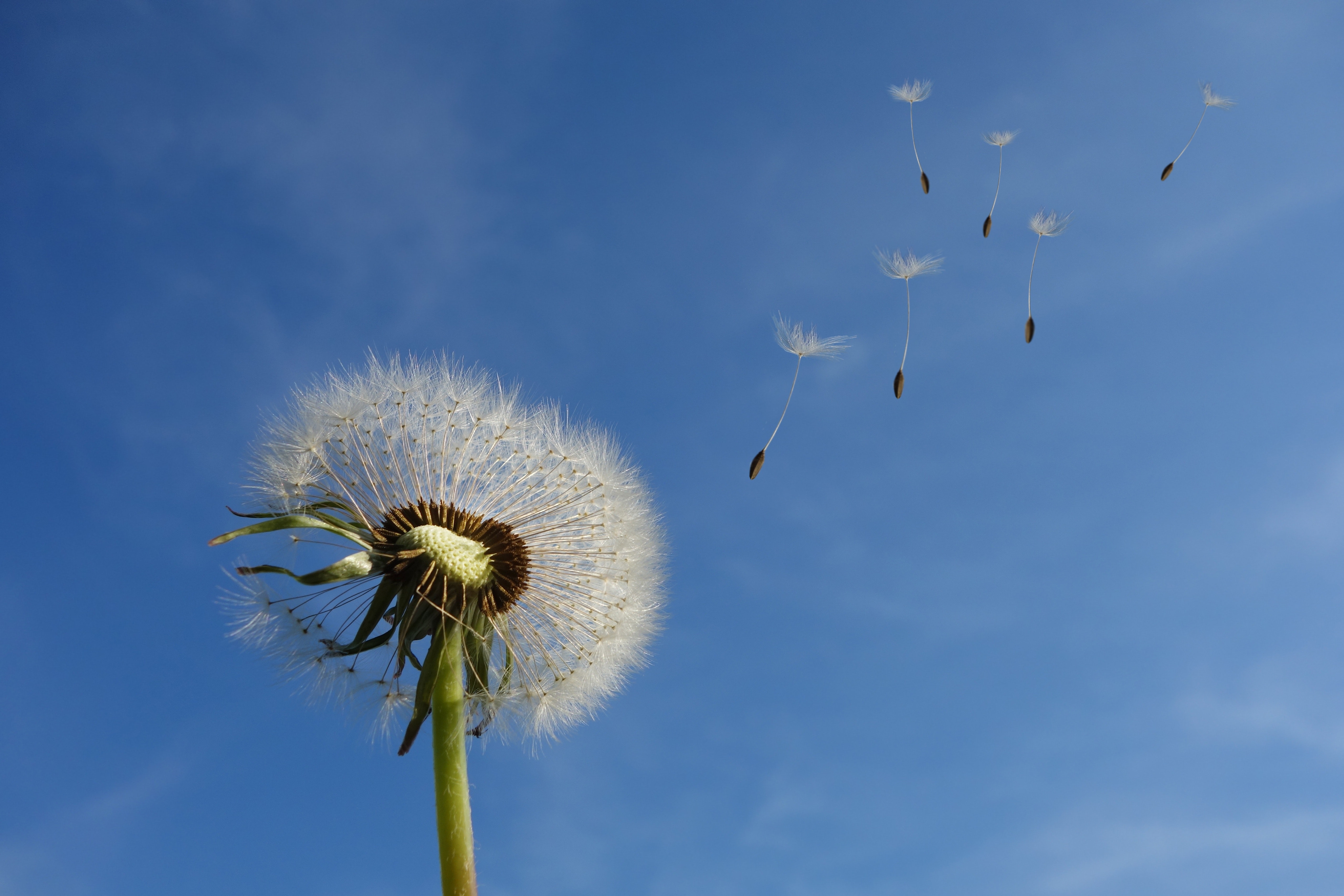 what-are-renewable-energy-certificates-kiwi-energy