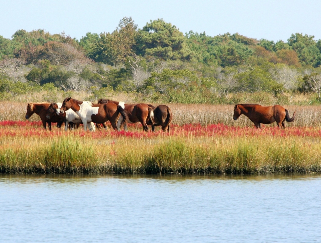 Top National Parks In The Eastern United States Kiwi Energy 3861