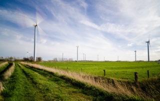 A grassy field of wind turbines