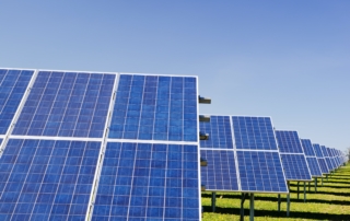 Blue solar panels in a field
