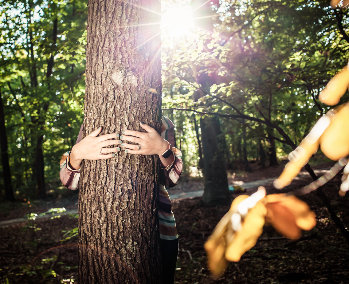 A person hugging a tree in the woods