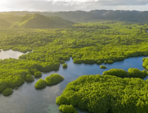 Why Is Water Conservation Important and How Can I Save?