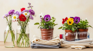 10 Easy Ways to Repurpose and Reuse Common Household Items